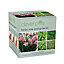 Clever Pots Herbs Sow and Grow Kit