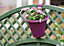 Clever Pots Orchid Fence Hanging Pot Pack Of 2