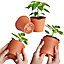 Clever Pots Salad Sow and Grow Kit