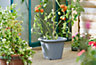 Clever Pots Tomato Planter Charcoal