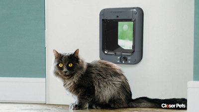 Closer Pets Dark Grey Microchip Cat Flap (CP 360G) - 7