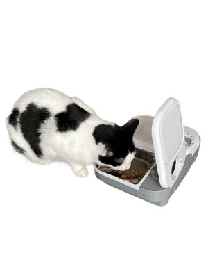 Closer Pets Two-Meal Automatic Pet Feeder with Stainless Steel Bowl Inserts (C200)