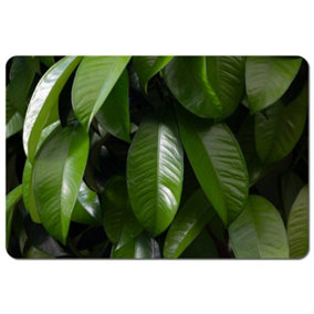 Closeup of beautiful glossy green leaves (Placemat) / Default Title