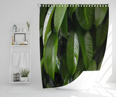 Closeup of beautiful glossy green leaves (Shower Curtain) / Default Title