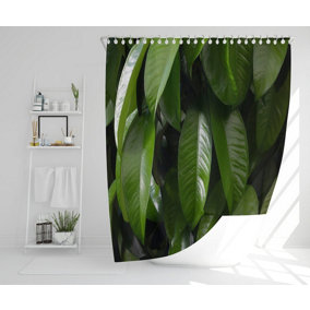 Closeup of beautiful glossy green leaves (Shower Curtain) / Default Title