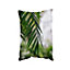Closeup Of Green Palm Leaf (Cushion) / 30cm x 45cm