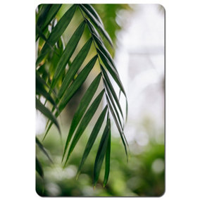 Closeup of green palm leaf (Placemat) / Default Title