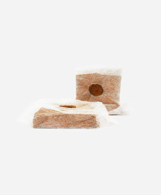 Coir Growcubes - Pack of 30 - Coir Fibre - L10 x W10 cm