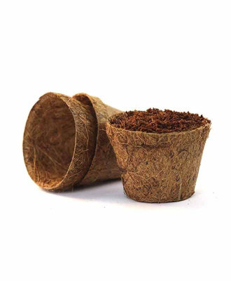 Coir Pots - Pack of 10 - Fibre/Latex - H8 cm