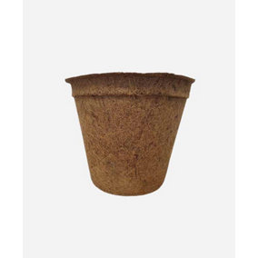 Coir Pots - Pack of 20 - Fibre/Latex - H23 cm