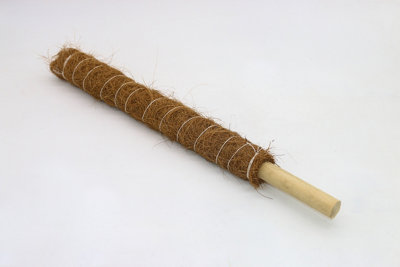 Coir Products 50cm GrowPole for Creeper Plants Pack of 2
