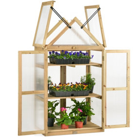 Cold Frame Garden Greenhouse Wooden Polycarbonate Lean To Growhouse Natural