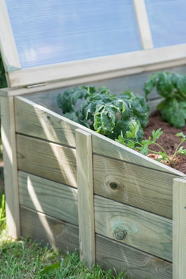 Cold Frame - Wood - L100 x W60 x H39 cm - Green - 6