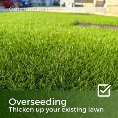 ColdPro Grass Seed - Fast Growing Winter Lawn Seed - Germinates in Low ...