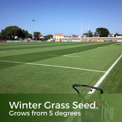 ColdStart for Fast Growing Winter Grass Seeds - Germinates with Low Soil Temperatures - Hard Wearing Lawn Seed - 1kg