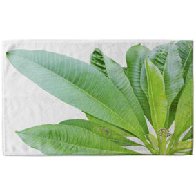 Collection Of Green Leaves On White (Bath Towel) / Default Title