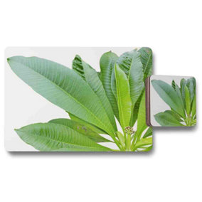 Collection Of Green Leaves On White Placemat & Coaster Set / Default Title