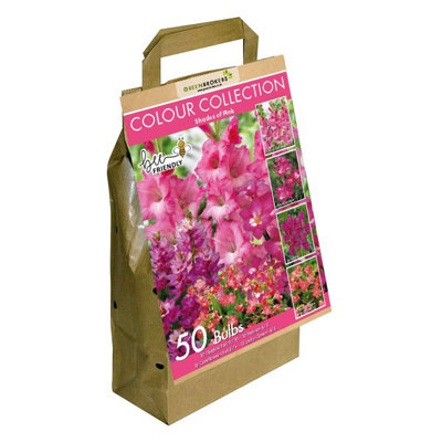 Colour Collection Spring Flower Bulbs-Pink (50 Bulbs) Bee Friendly