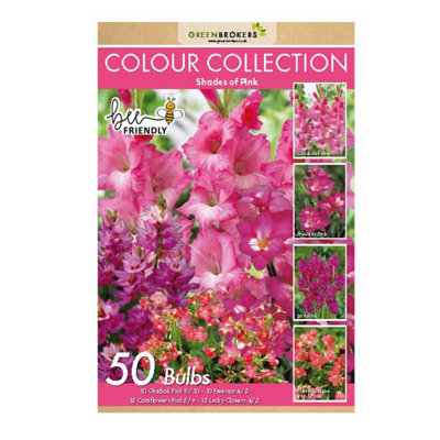 Colour Collection Spring Flower Bulbs-Pink (50 Bulbs) Bee Friendly - 5