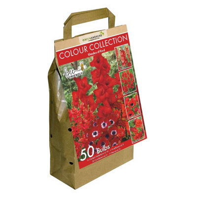 Colour Collection Spring Flower Bulbs-Red (50 Bulbs) Bee Friendly