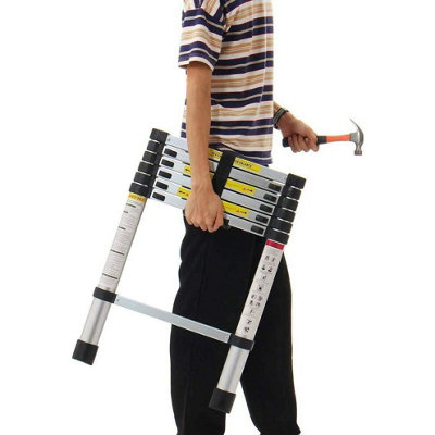 Compact 2.6m Stainless Steel Ladder Telescoping Extension with Secure Grip