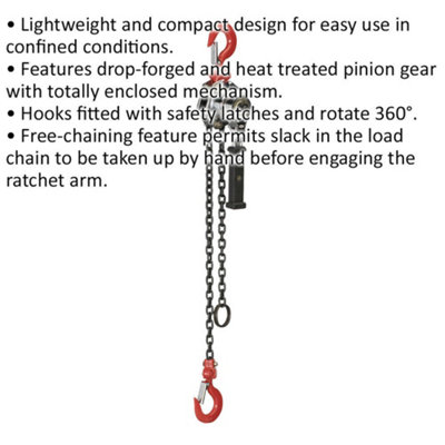 Compact Mini Lever Hoist with 250kg Capacity and 1.2m Chain Length for Tight Spaces