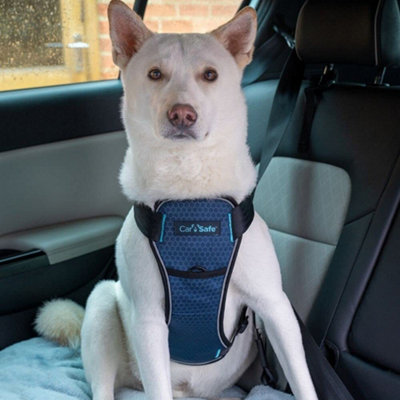 Company Of Animals Carsafe Crash Tested Dog Harness Black (M)