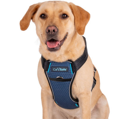 Company Of Animals Carsafe Crash Tested Dog Harness Black (M)