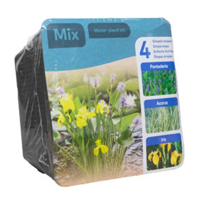 Complete Waterplants Pond Plant Kit - Trio Mix (Acorus, Yellow Iris, Pontederia)