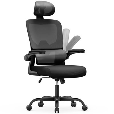 Computer Chair with Adjustable Lumbar Support and Headrest, Swivel Executive Mesh Office Chair for Home Office-Black