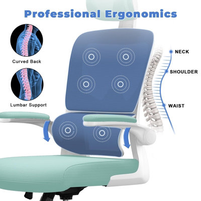 Computer Chair with Adjustable Lumbar Support and Headrest, Swivel ...