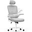 Computer Chair with Adjustable Lumbar Support and Headrest, Swivel Executive Mesh Office Chair for Home Office-Grey