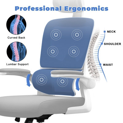 Computer Chair with Adjustable Lumbar Support and Headrest, Swivel ...