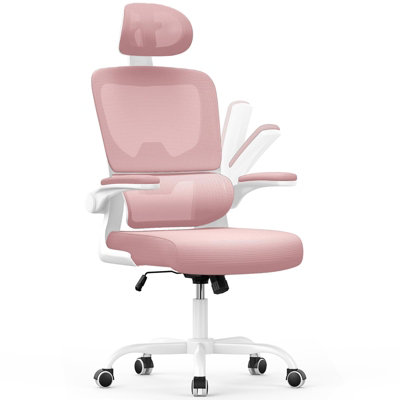 Computer Chair with Adjustable Lumbar Support and Headrest, Swivel Executive Mesh Office Chair