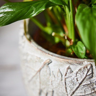Contemporary Grey Leaf Embossed Large Flower Planter Indoor Outdoor Plant Pot (H) 14cm, (Dia)19cm