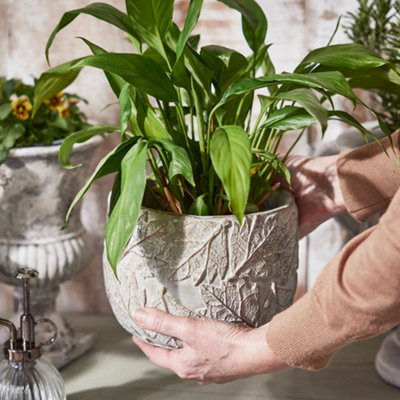 Contemporary Grey Leaf Embossed Large Flower Planter Indoor Outdoor Plant Pot (H) 14cm, (Dia)19cm