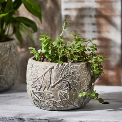Contemporary Grey Leaf Embossed Small Flower Planter Indoor Outdoor Plant Pot (H) 11cm, (Dia)16cm