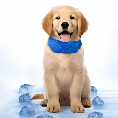Cooling Dog Collar Adjustable, Comfortable & Durable deal for Hot ...