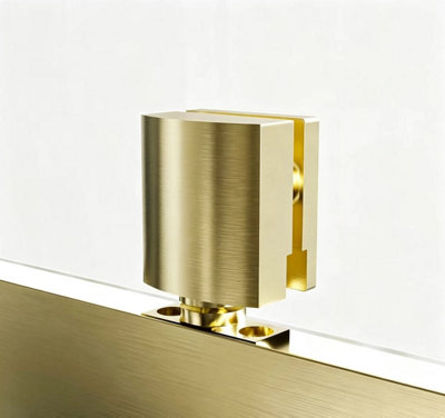 Coral Pivot Door Shower Enclosure Brushed Brass 6mm Safety Glass 900x700mm