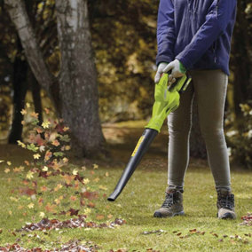 Cordless Leaf Blower with Lithium-ion Battery Pack (20v Leaf Blower)