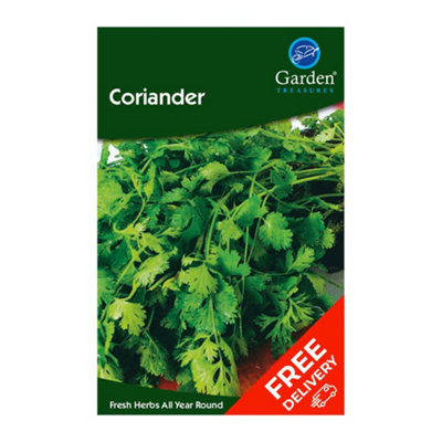 Coriander (Coriandrun sativum)