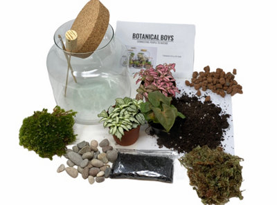 Kit DIY Terrarium Opendo à composer taille L Naturalys - Ø 23 x 44