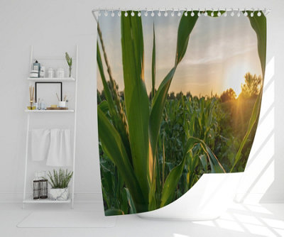 corn and sun close up (Shower Curtain) / Default Title Price Comparisons | Compare The Build
