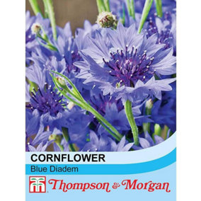Cornflower Blue Diadem 1 Packet (180 Seeds)