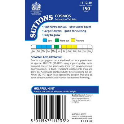 Cosmea Sensation Tall Mix 1 Seed Packet (150 Seeds) - 3