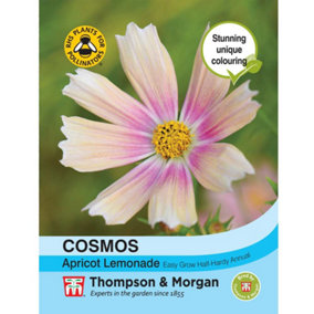Cosmos bipinnatus Apricot Lemonade 1 Seed Packet (40 Seeds)
