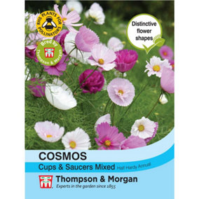 Cosmos bipinnatus Cups & Saucers Mixed 1 Seed Packet (50 Seeds)