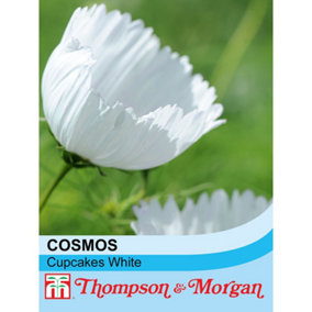 Cosmos Cupcake White 1 Seed Packet (30 Seeds)
