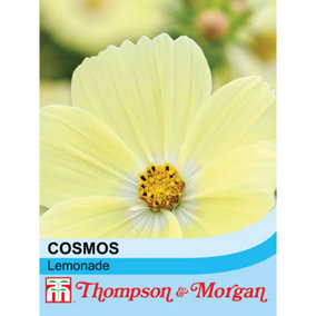 Cosmos Lemonade 1 Seed Packet (30 Seeds)