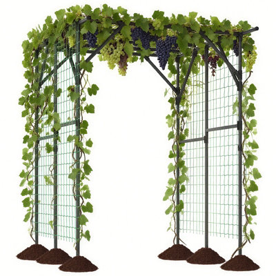 COSTWAY 200 x 150 x 197cm Tall Grape Vine Support Large Garden Arch ...